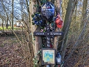 Gawronski, Adam (id=7141)